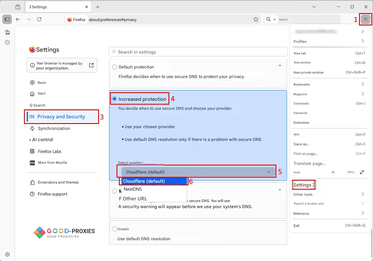 Mozilla Firefox: Secure DNS settings.
